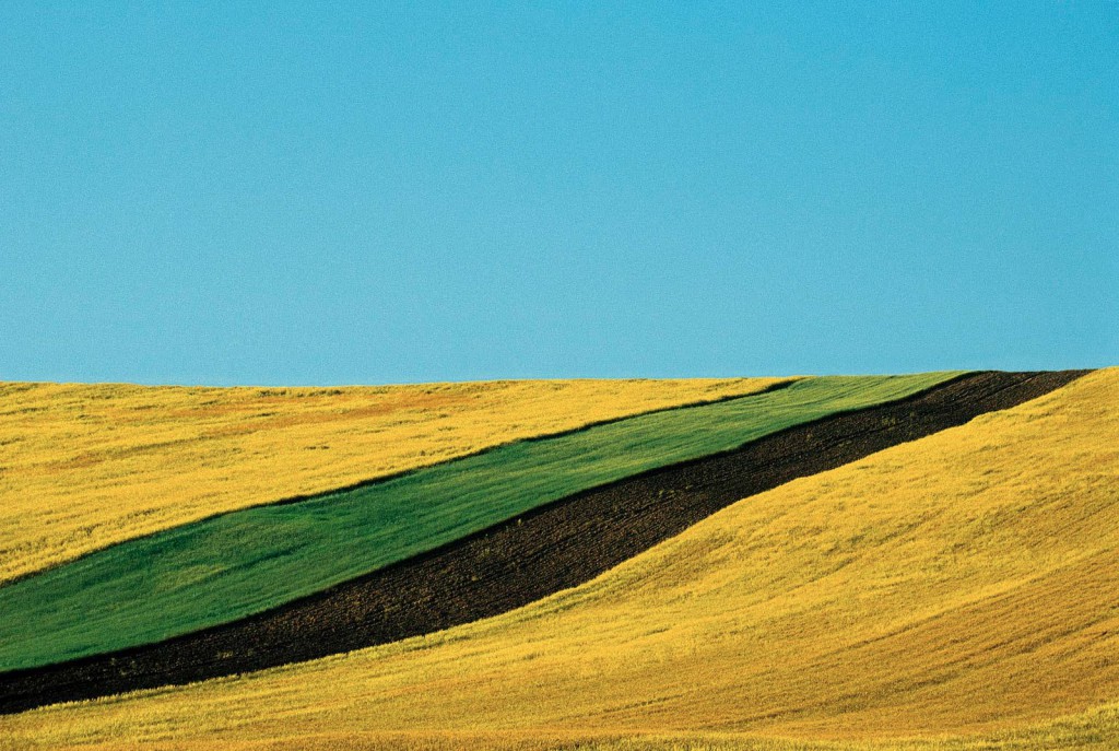 franco-fontana