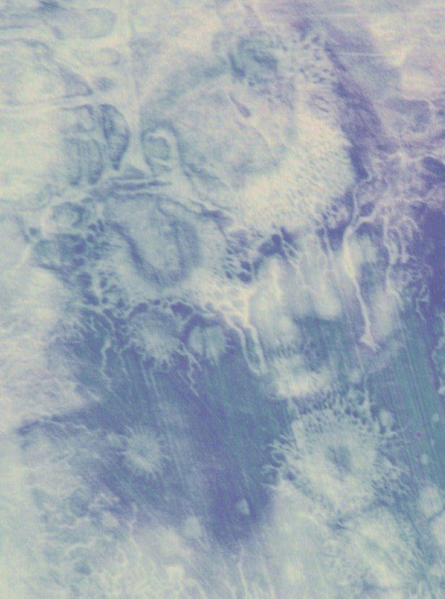 Una mostra da non perdere Francesco Astiaso Garcia, La Divina Somiglianza 