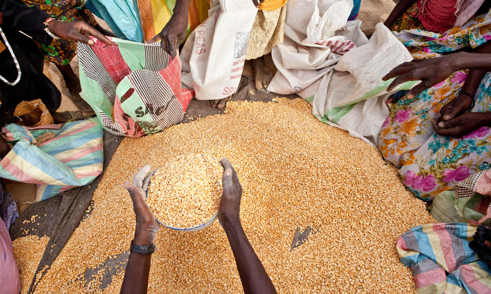 EXPO 2015: Viaggio statistico intorno al cibo