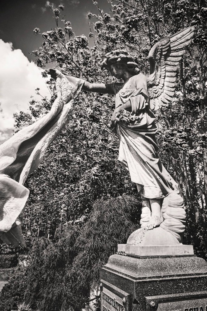 11110517_988368247874702_6444115747107830065_o