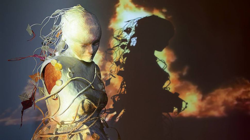 “Il Misterioso Mondo della Fenice”, la mostra che racconta l’anima della materia