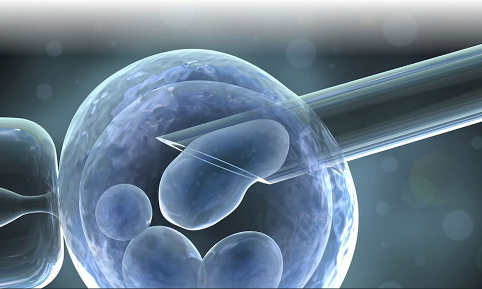 “SELEZIONARE GLI EMBRIONI IN CASO DI GRAVI MALATTIE”: NON E’ PIÙ’ REATO.