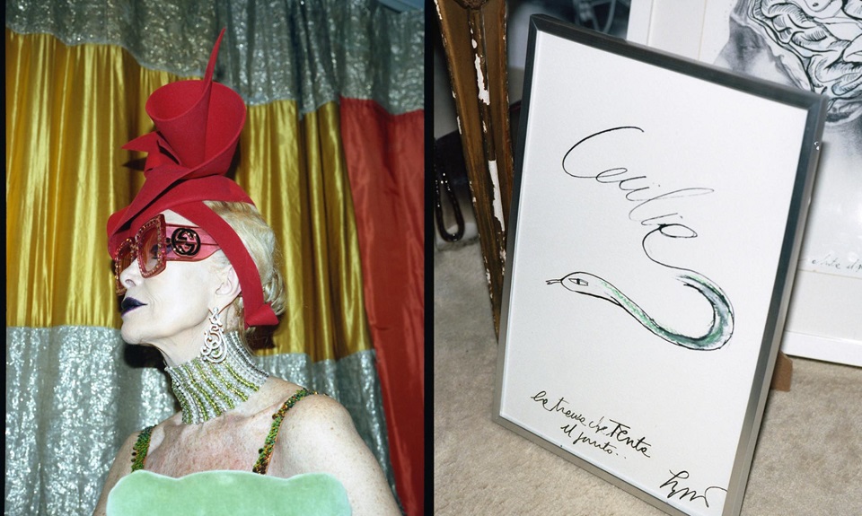 Cecilia Matteucci Lavarini: il guru del collezionismo di moda