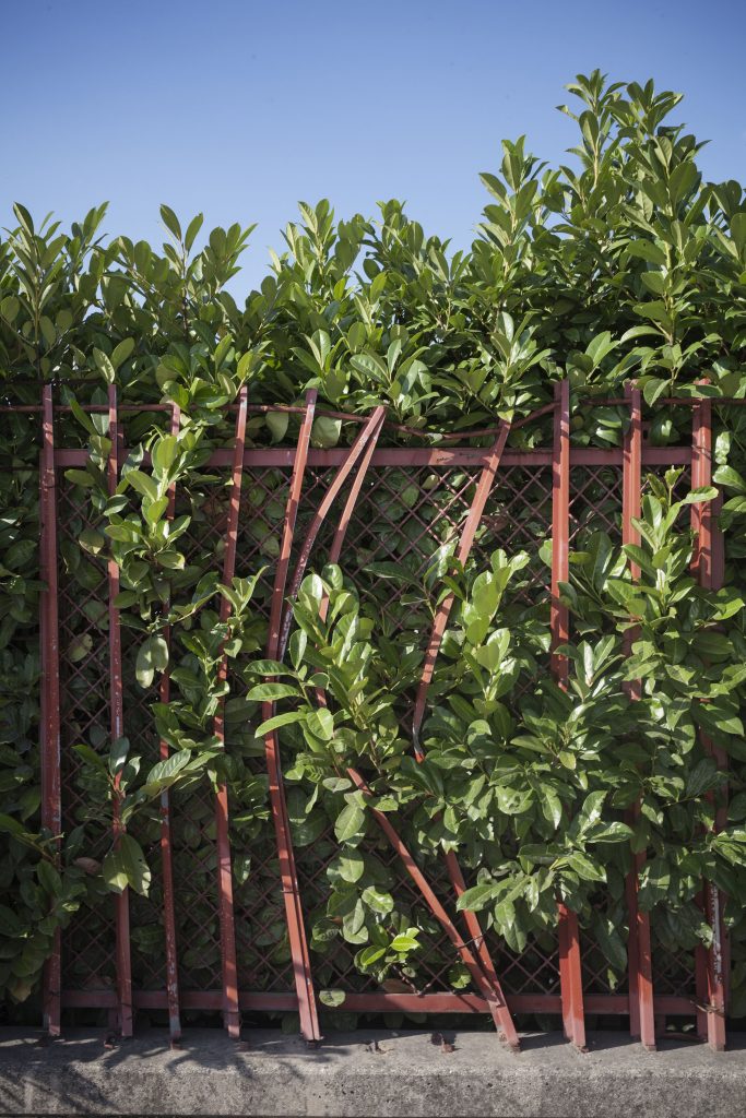 4. Lavinia Parlamenti per mostra FuoriCentro Vicenza 2017