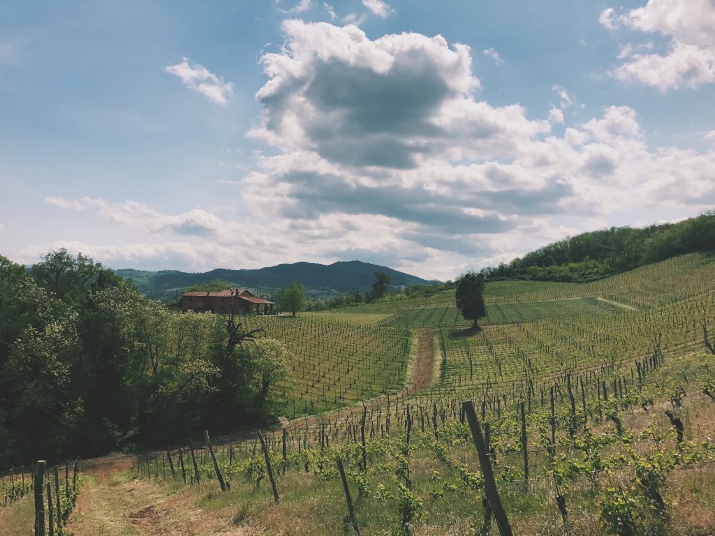 Processed with VSCO with c1 preset