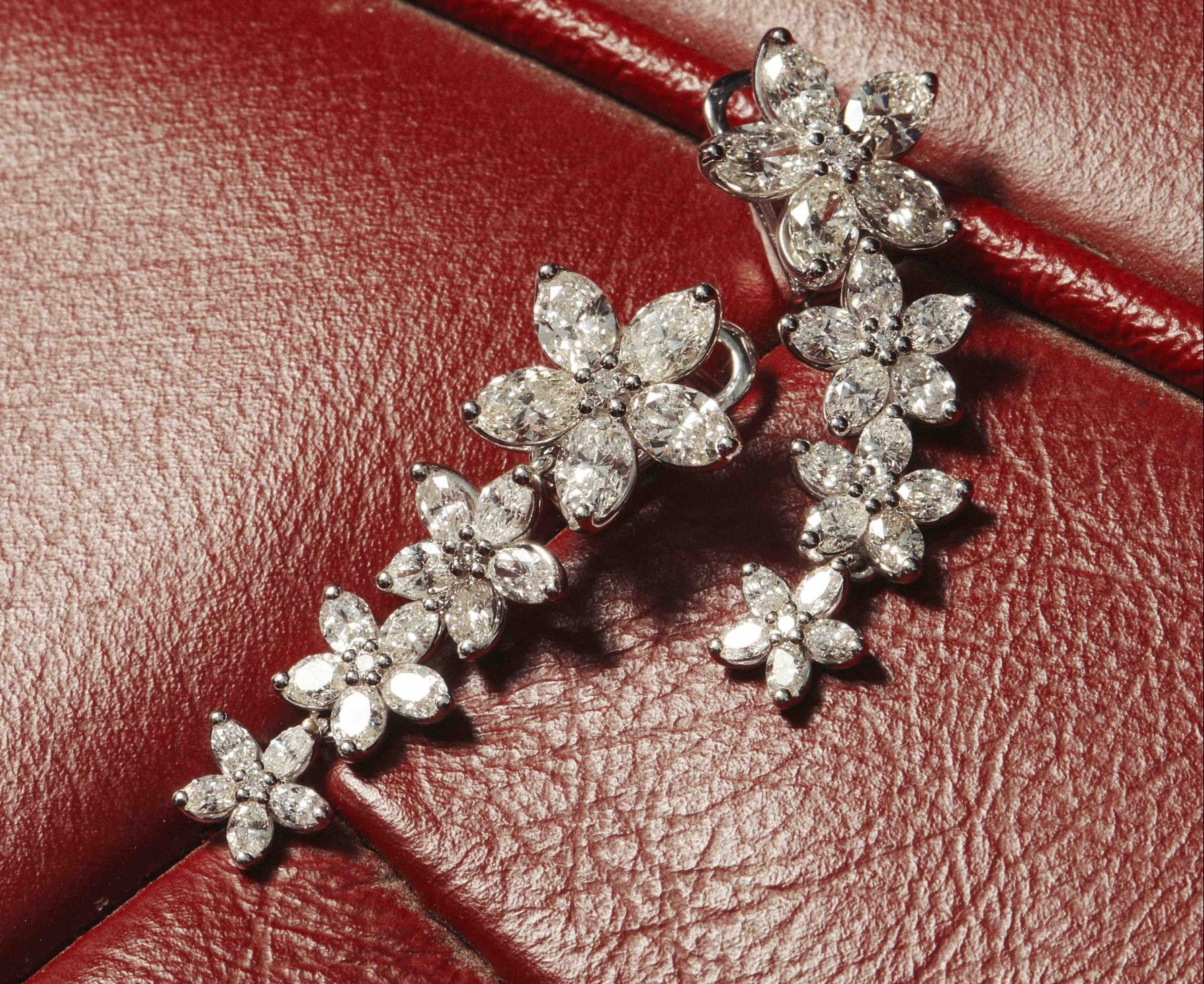 LENTI 1963 Collezione Bloom