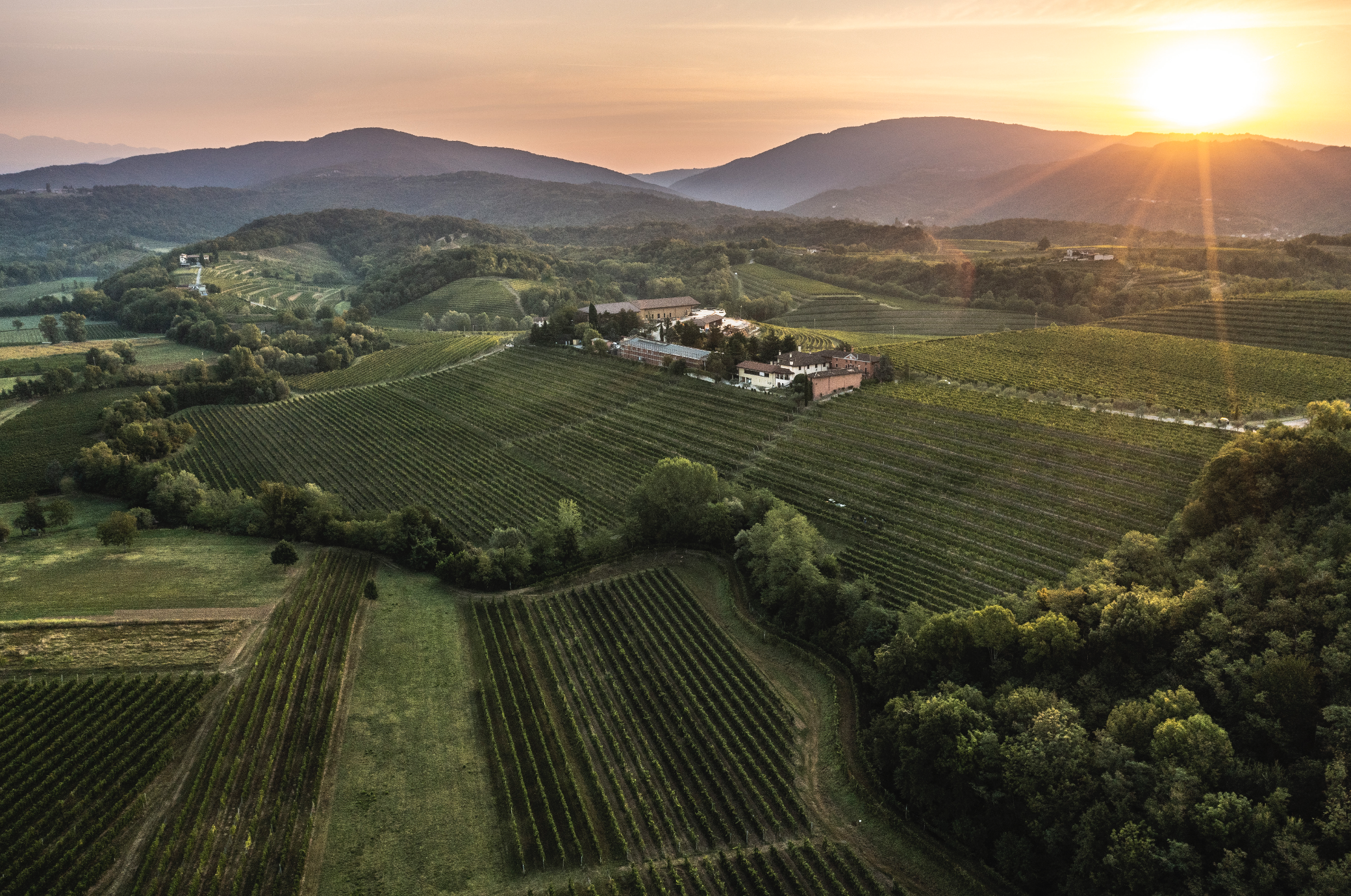 Annalisa Zorzettig, il vino si tinge di rosa
