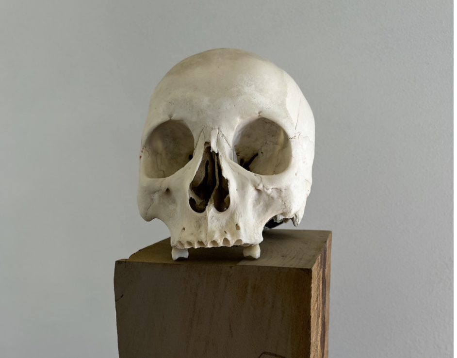 Tra vita e immaginario: il santuario creativo di  Rick Owens a Concordia sulla Secchia