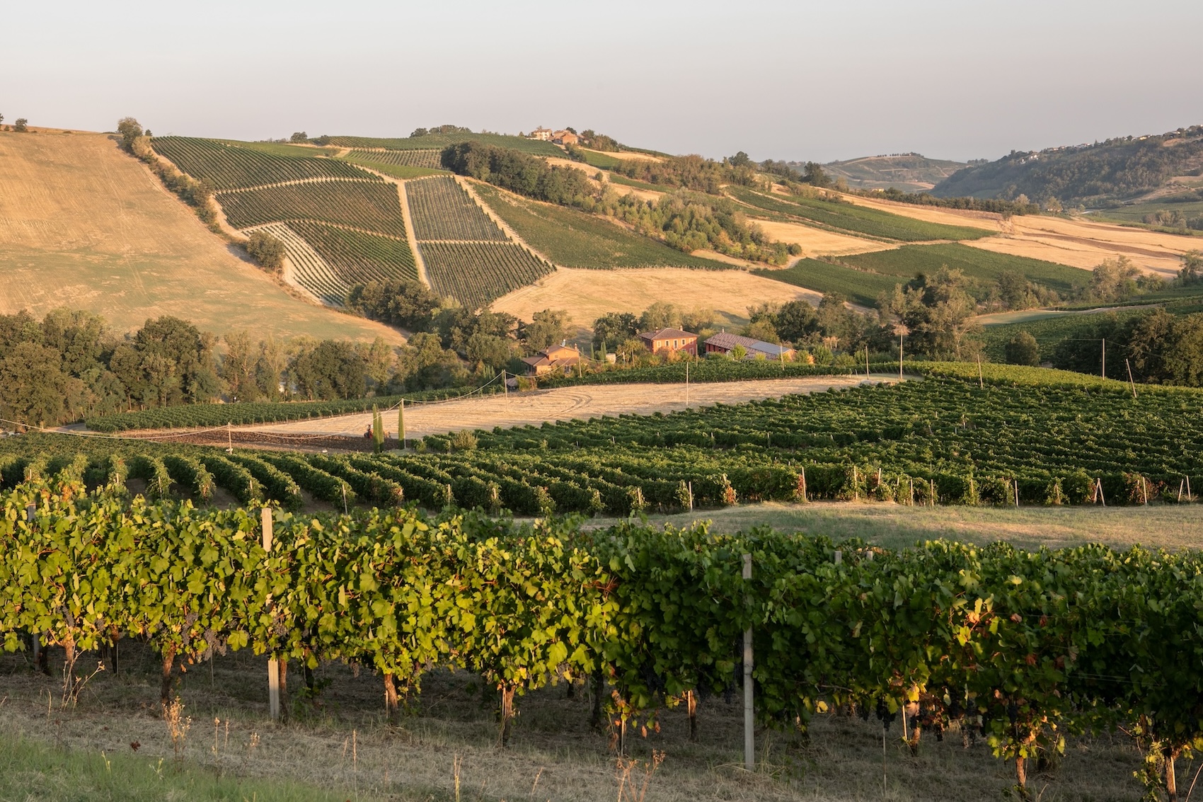 La Genisia, le esperienze enologiche nell’Oltrepò Pavese, eccellenza del Pinot Nero