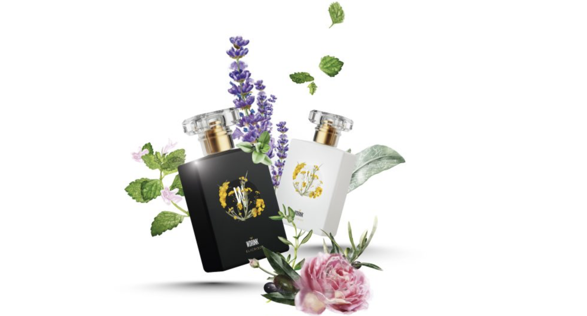 WDRINK, il prodotto-novità di TuttoFood/Mixology Experience 2025