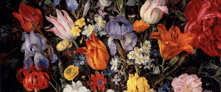 Nuovo allestimento in Pinacoteca Ambrosiana, alla scoperta di Brueghel